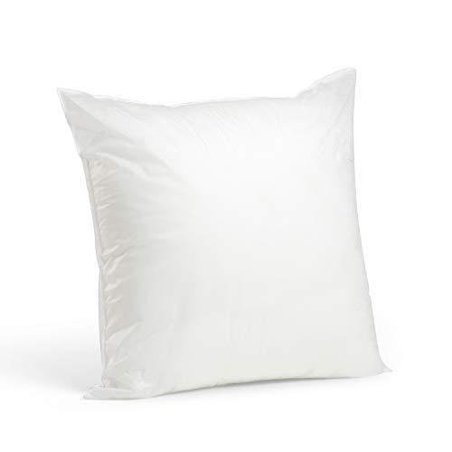 Foamily Premium Hypoallergenic Stuffer Pillow Insert Sham Square Form Polyester, 20" L X 20" W, Standard/White