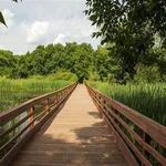 Springbrook Nature Center