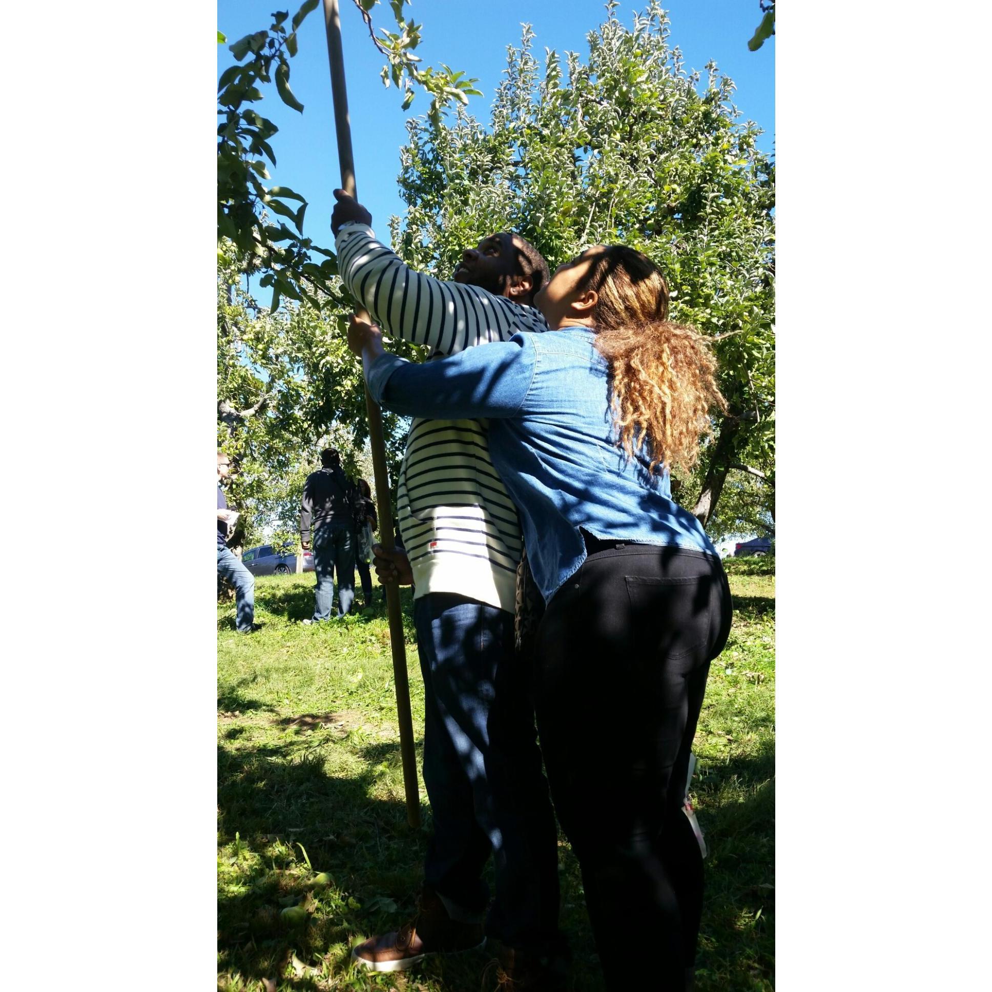 Joanna showing Alfred how to pick apples in 2016