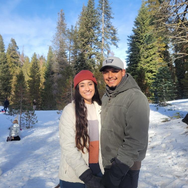 Sequoia's December 2024