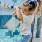 Houston Interactive Aquarium & Animal Preserve