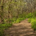 Henry Horton State Park