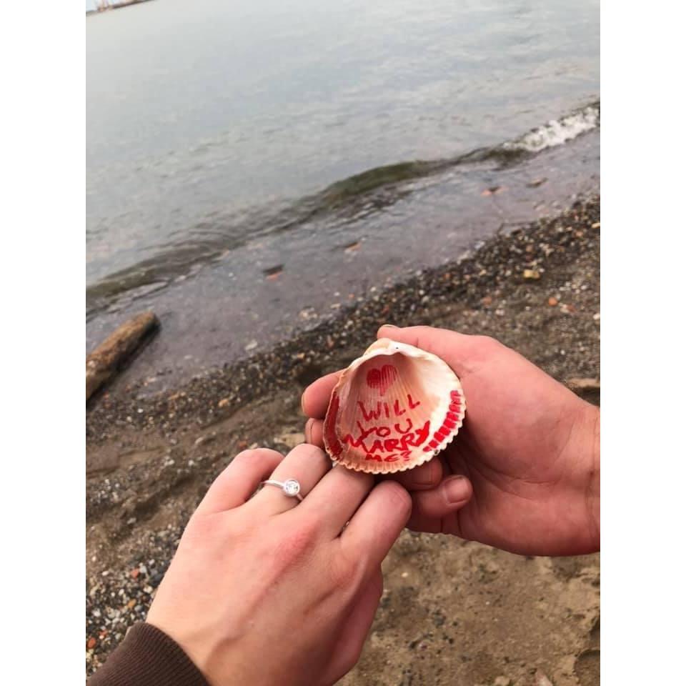 Proposal shell and ring!