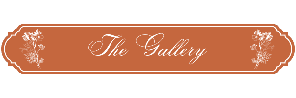 The Wedding Website of Sophia Shumaker and Thomas Romin