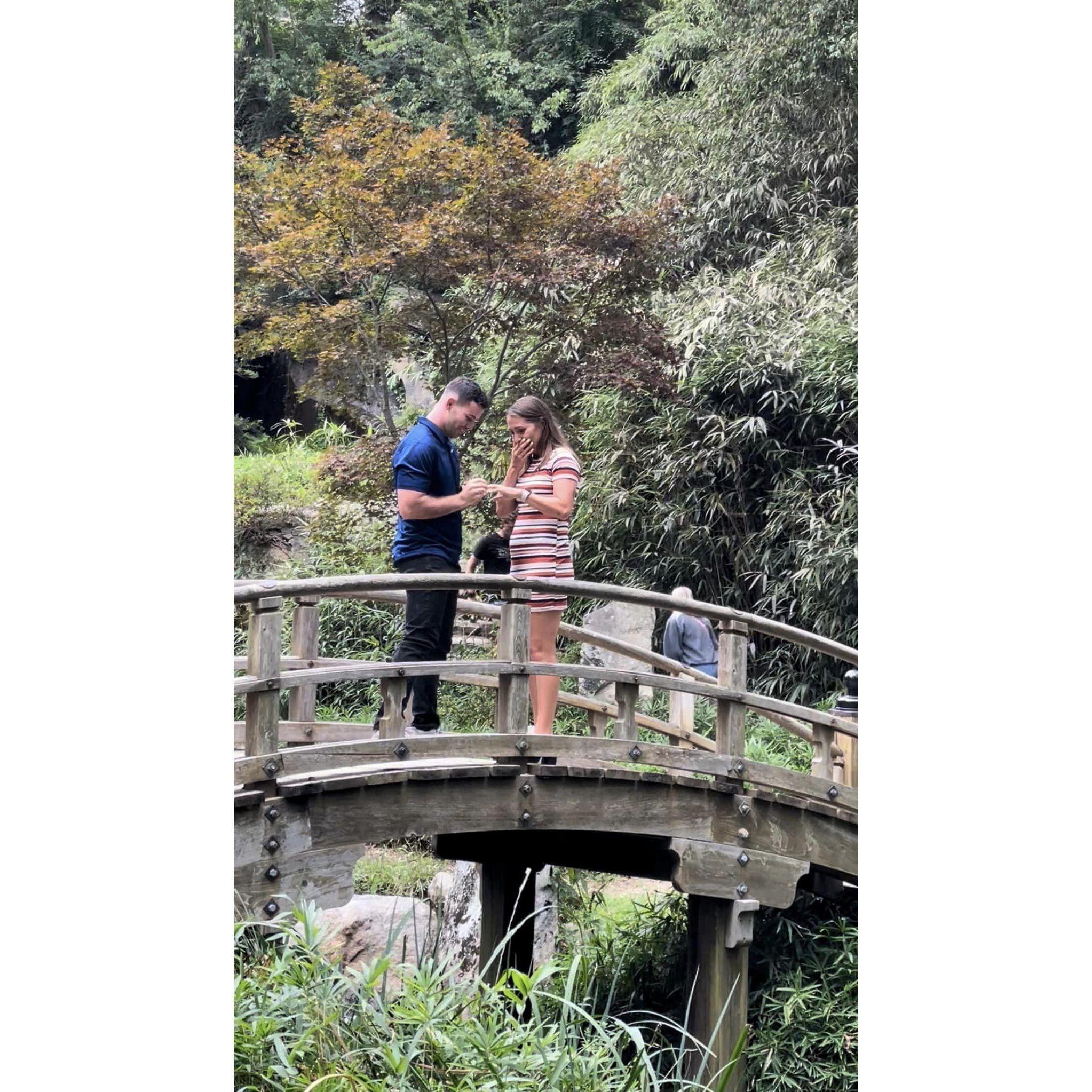 Surprise engagement in Richmond, VA where it all started... - 9/10/22