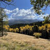 Mueller State Park