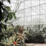 Cleveland Botanical Garden