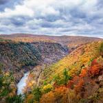 Pine Creek Gorge