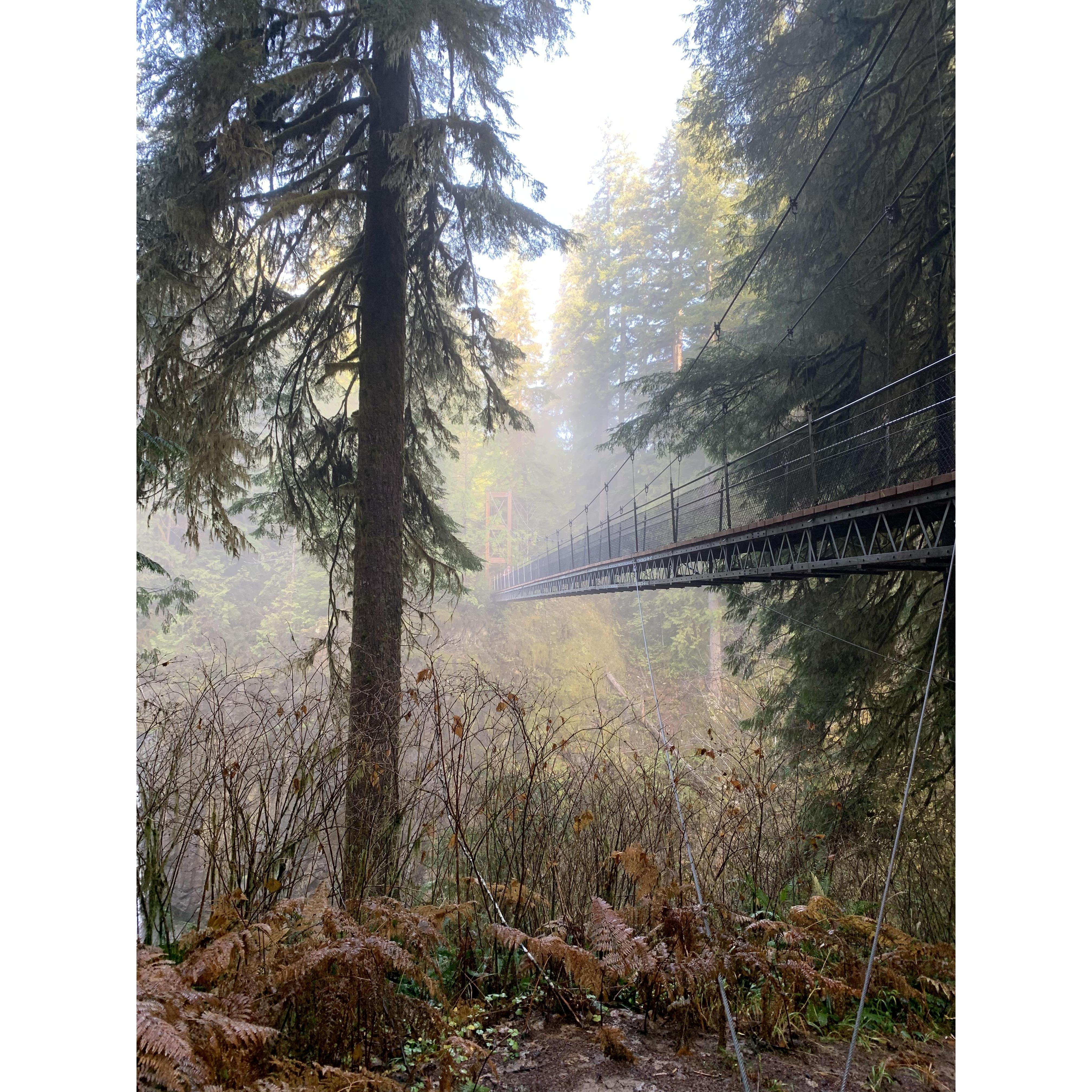 The proposal hike
