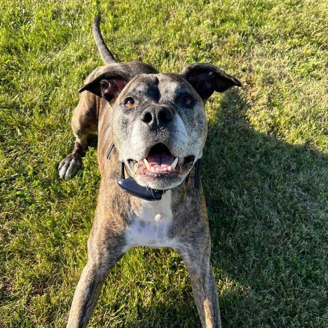 my buddy