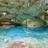 Visit the Cenotes