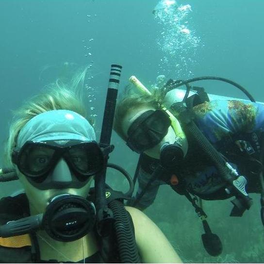 We are going for a dive Friday June 11th! See the Schedule page for more info.