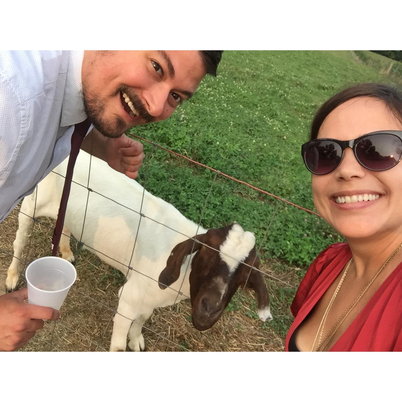 Nixon Farms