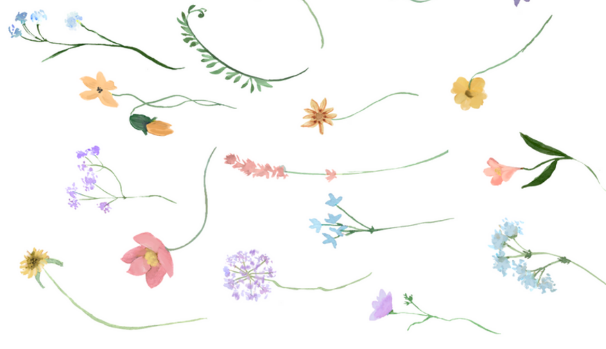 The Wedding Website of Alison Chang and Christopher Celestino