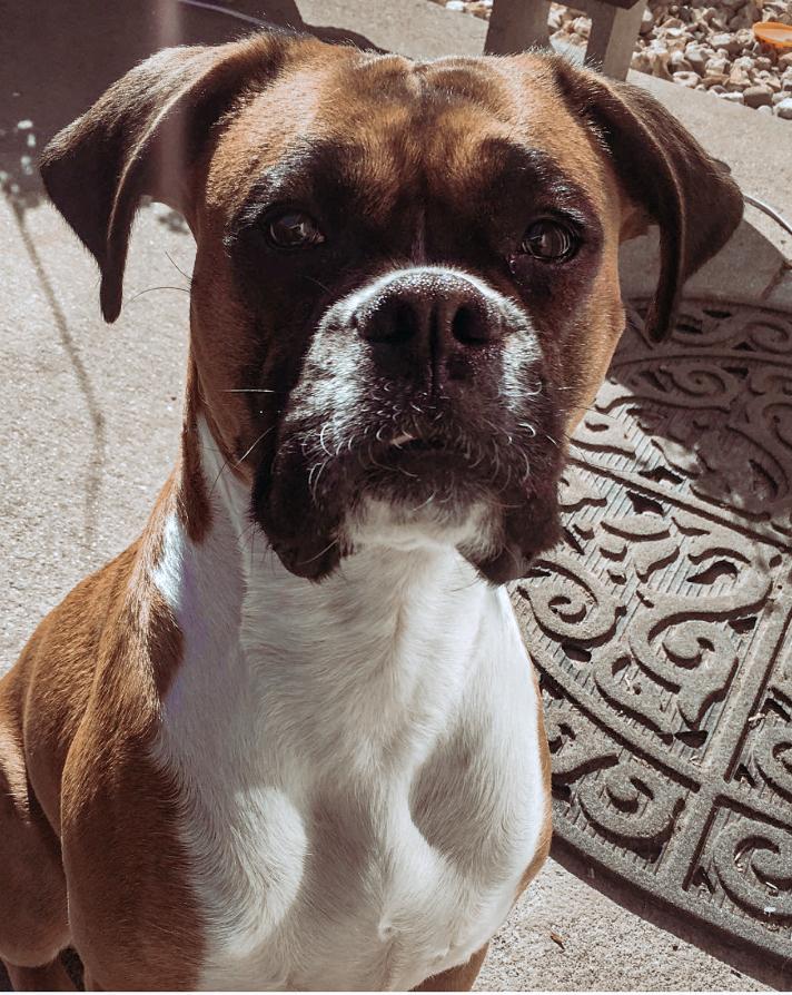 The Wedding Website of Brittany Call and Jeff Barnes