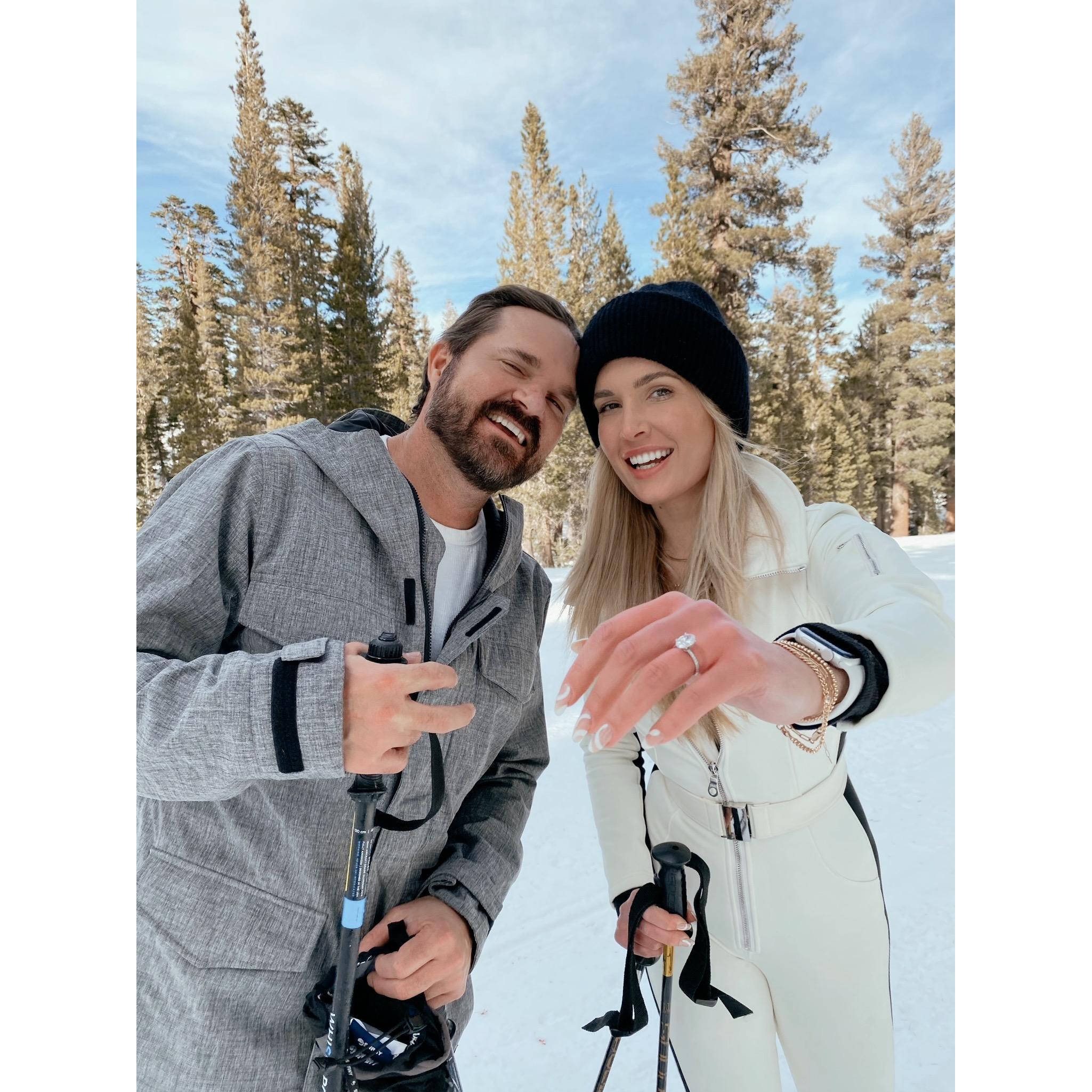 The Proposal January 15th 2021