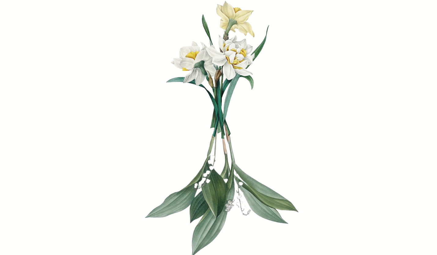 Footer image