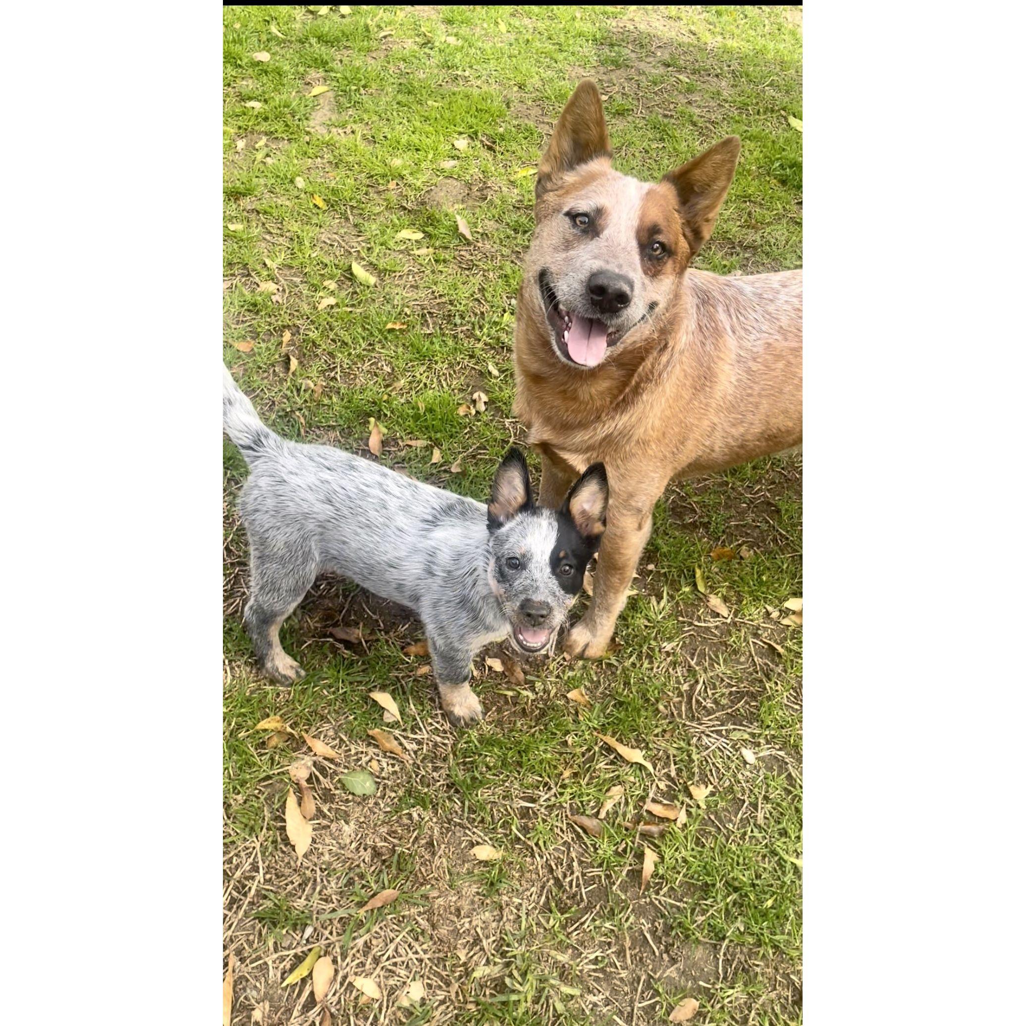 Our children, Fig and Moon