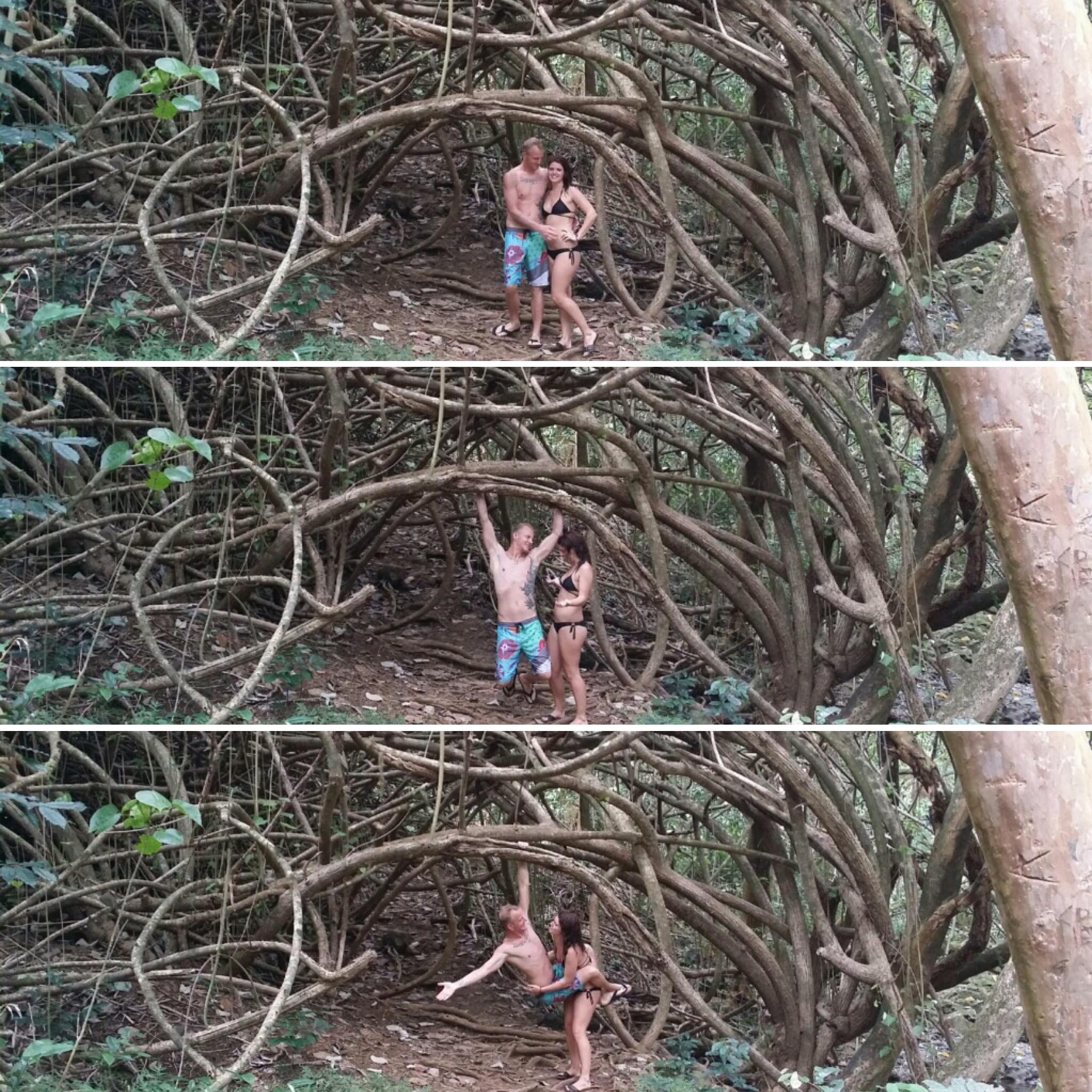 Playing in the jungle