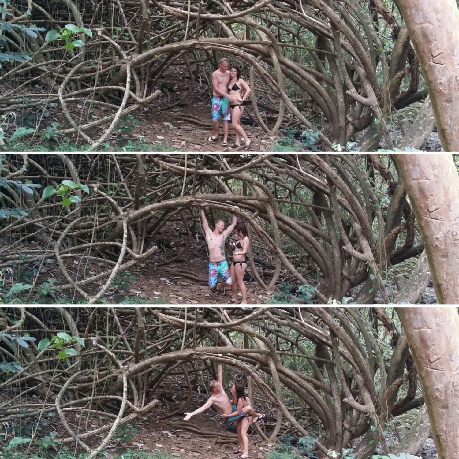 Playing in the jungle