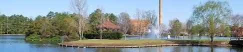 The Wedding Website of Nikia Payne and Daniel Daudu