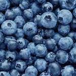 Moorhead's Blueberry Farm