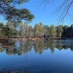 Foster's Pond Trail