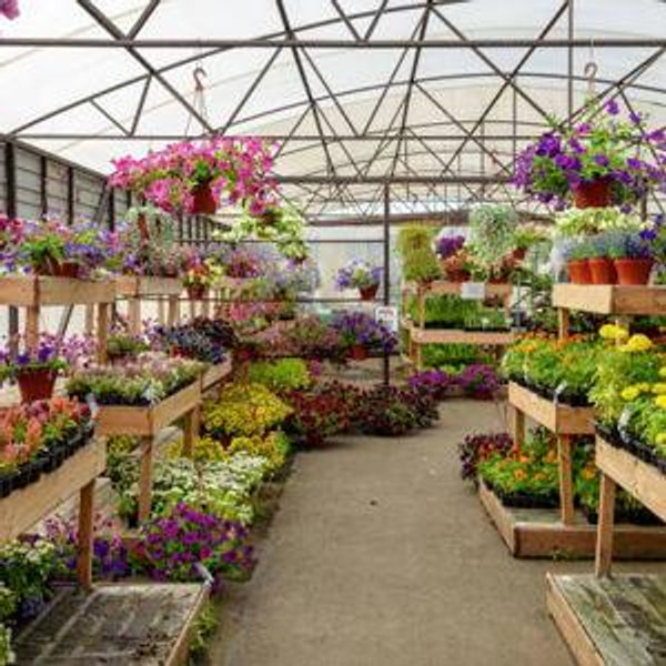 Wentworth Greenhouse Gift Card