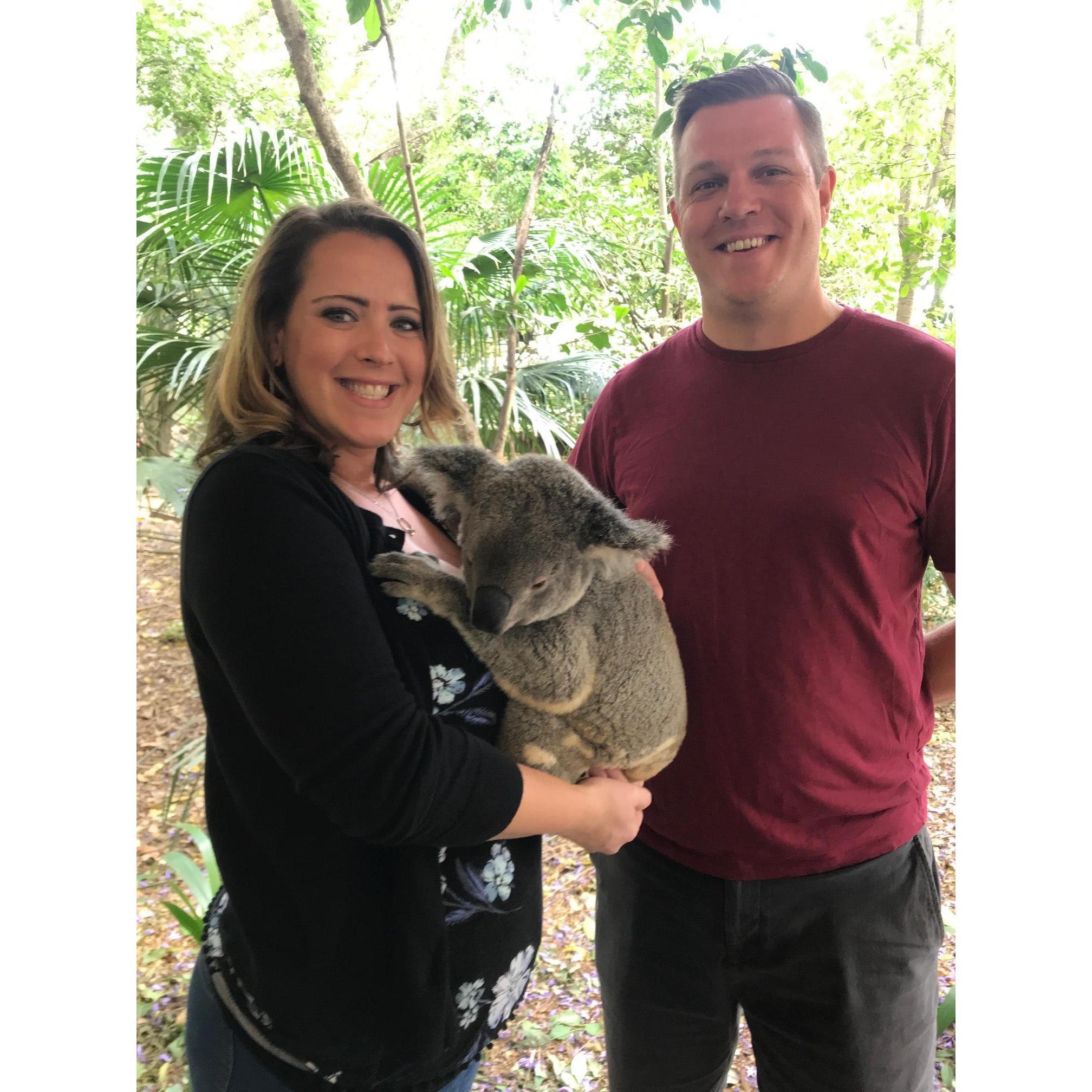 Connley the Koala Bear