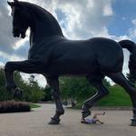 Frederik Meijer Gardens & Sculpture Park