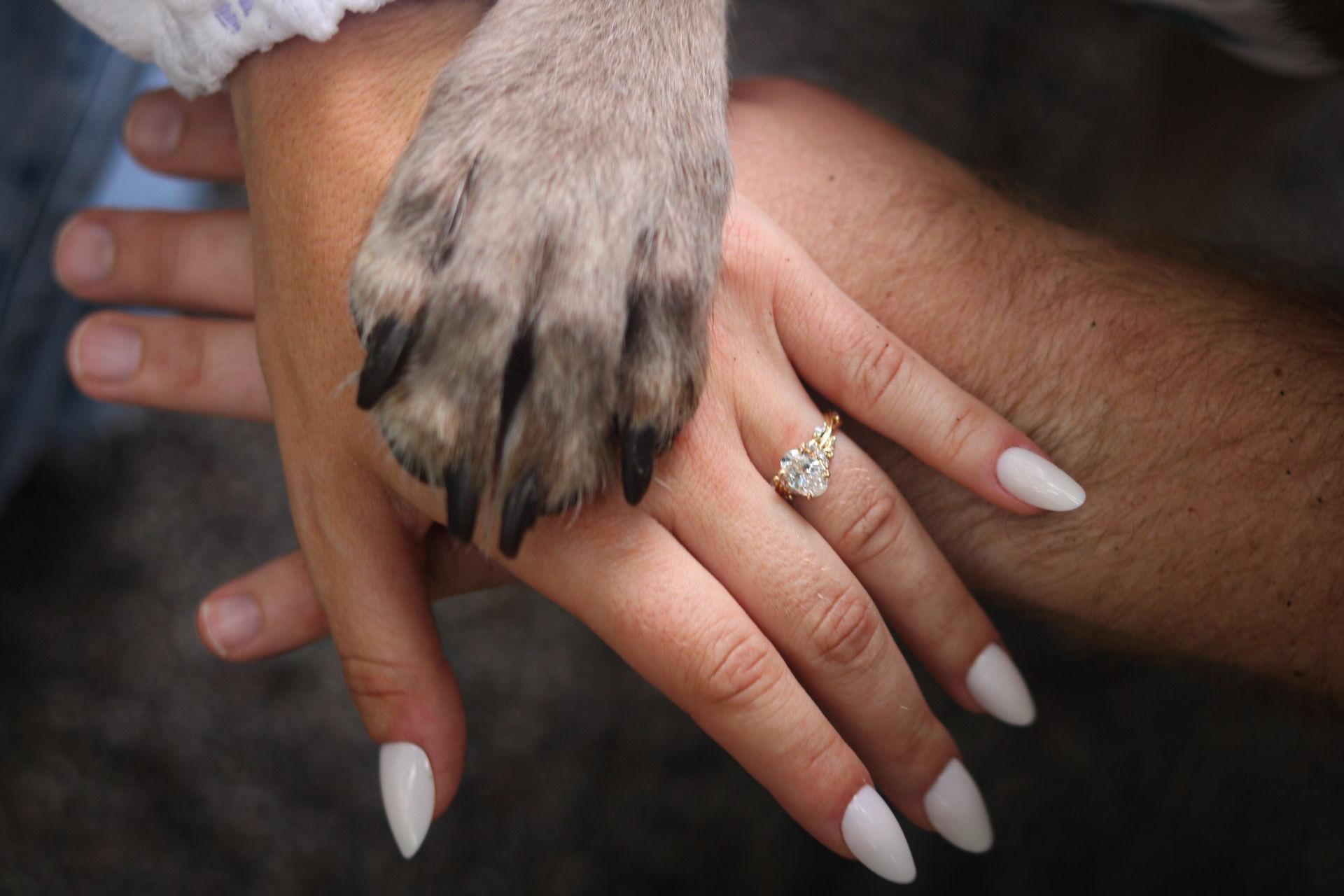 The Wedding Website of Dorota Murzydlo and Chase Fann