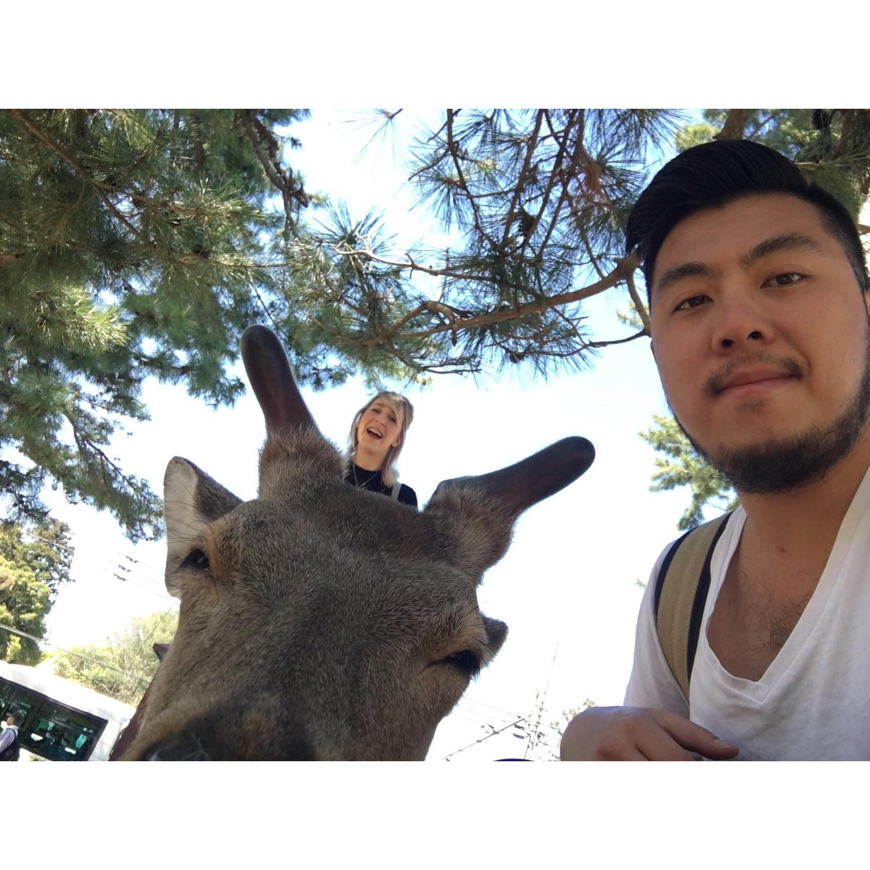 Nara, Japan - 2017