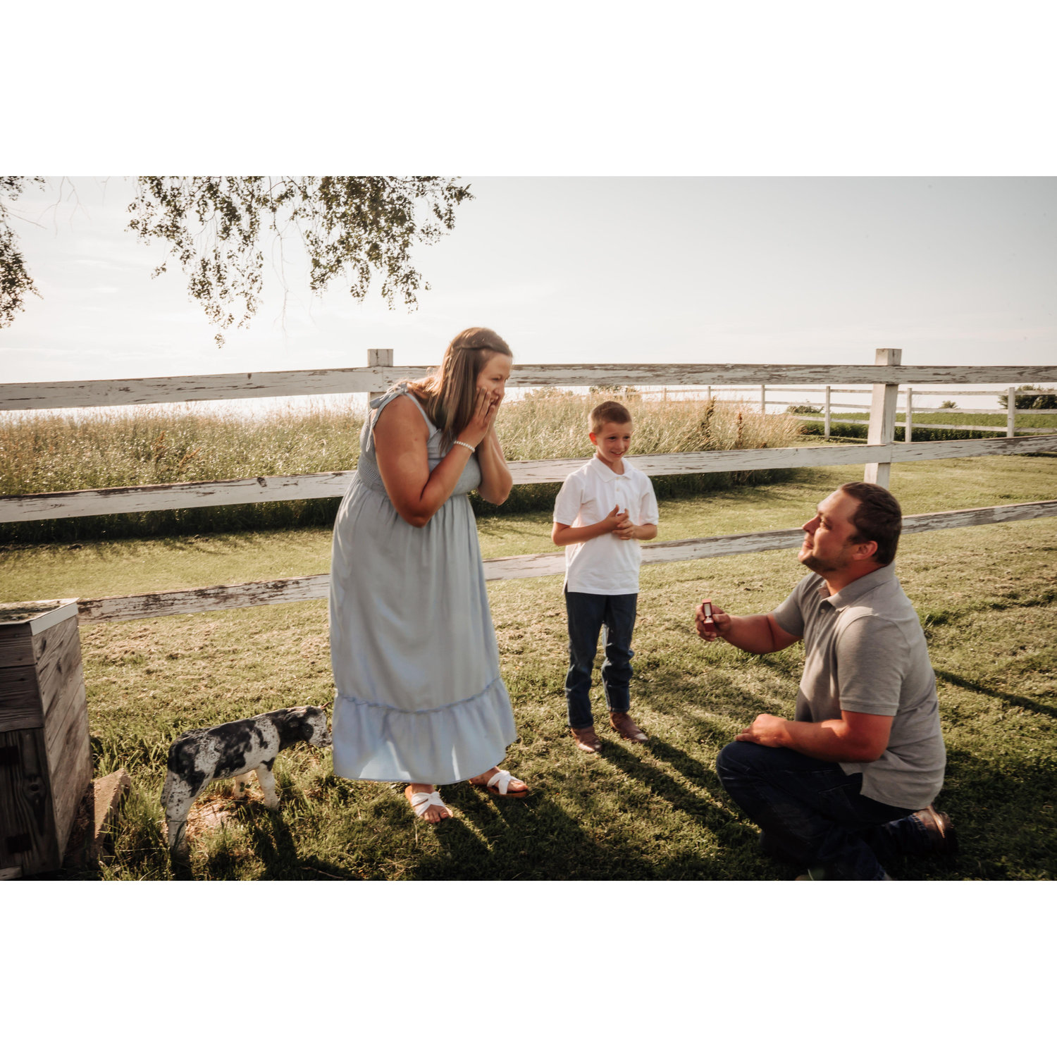 The Proposal