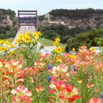 Lady Bird Johnson Wildflower Center