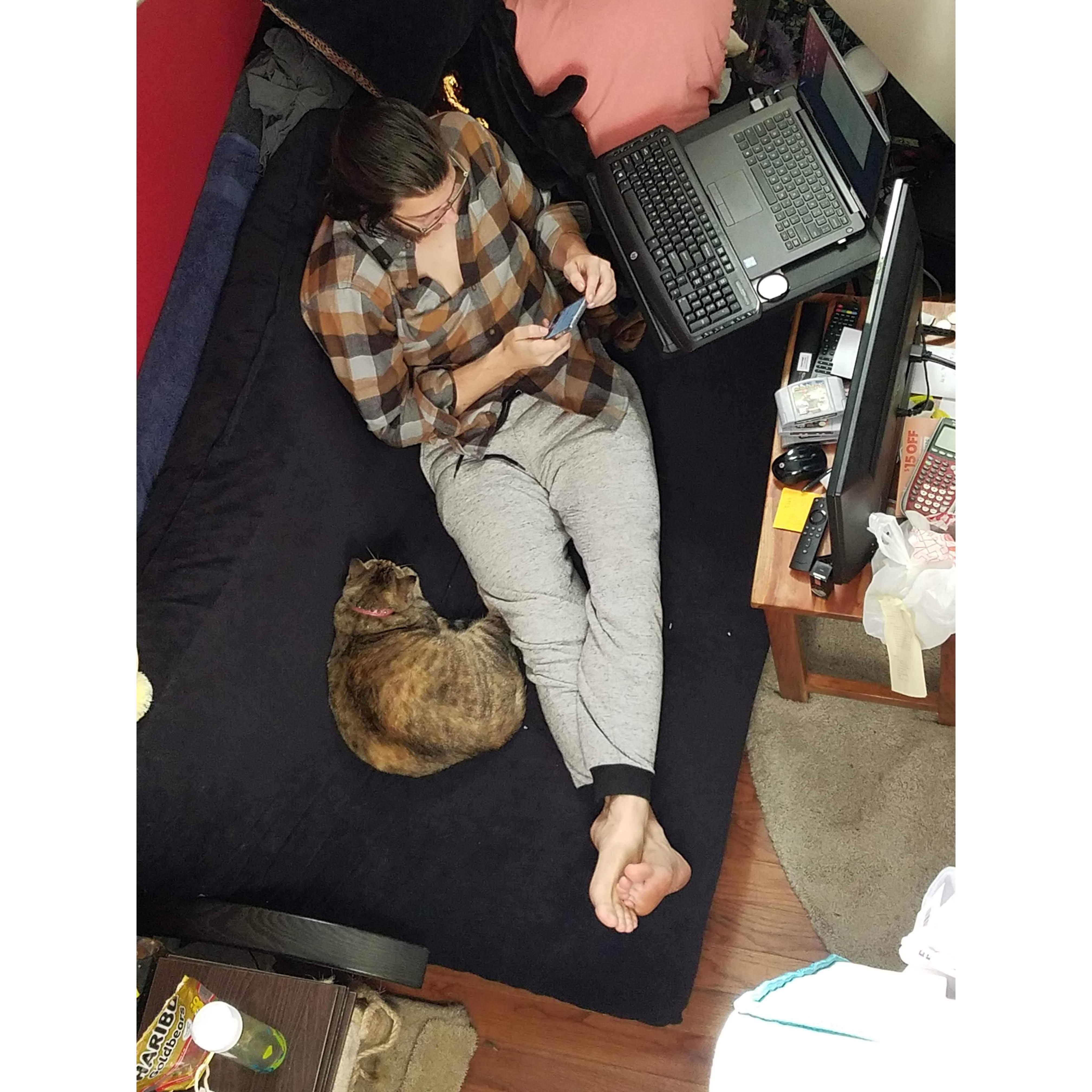 August 2020: Katlin & the kittens move to B-more!