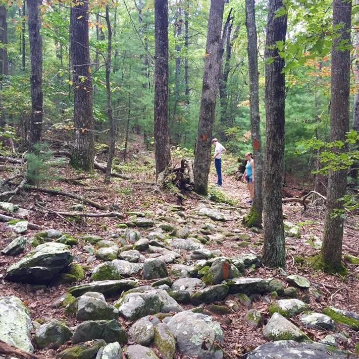Adventures on Fort Mountain in Georgia. This picture was taken by Lucy. You can see us in the distance.