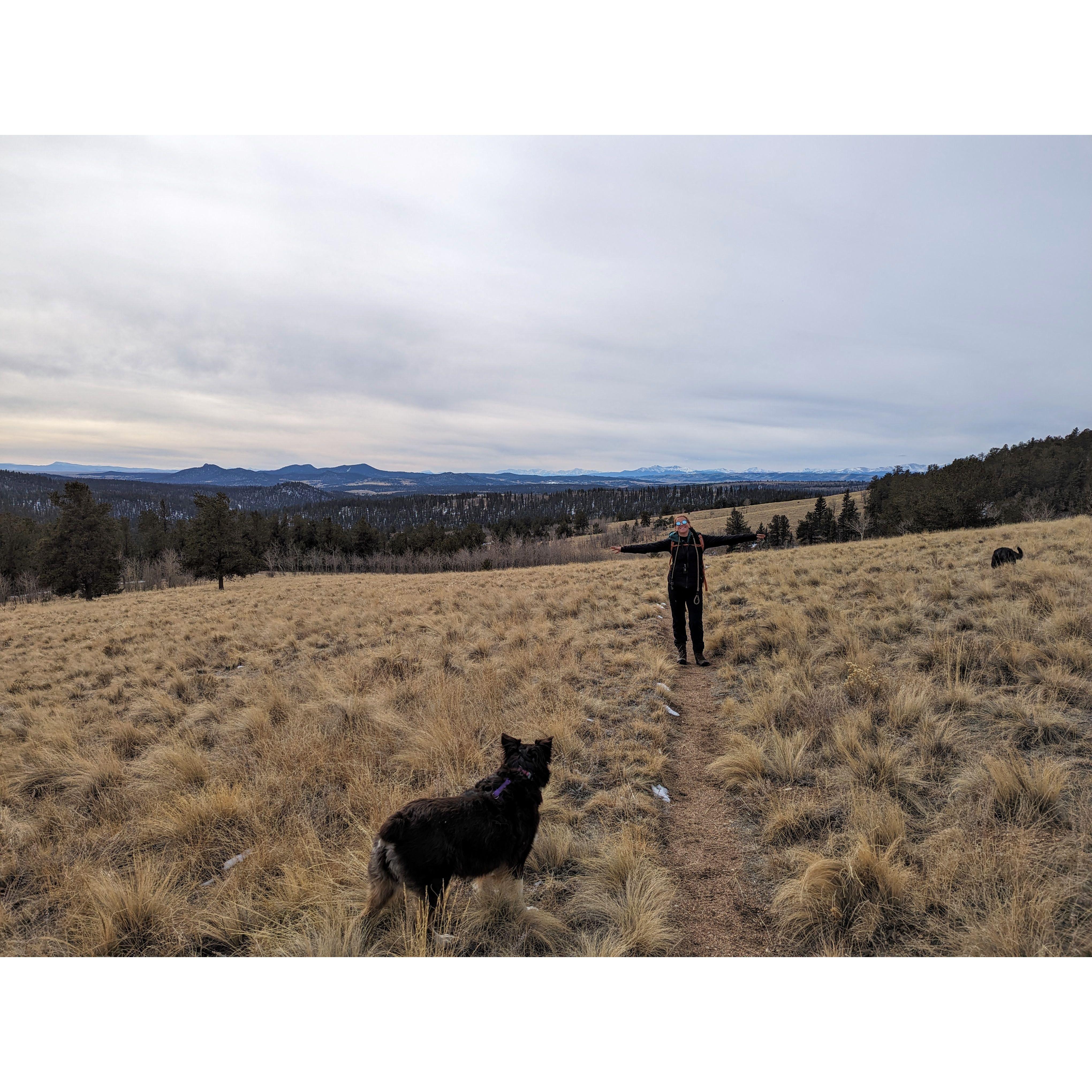 Colorado Trail - Jefferson