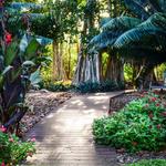 Marie Selby Botanical Gardens