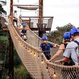 8-Line Zipline Adventure on Oahu's North Shore