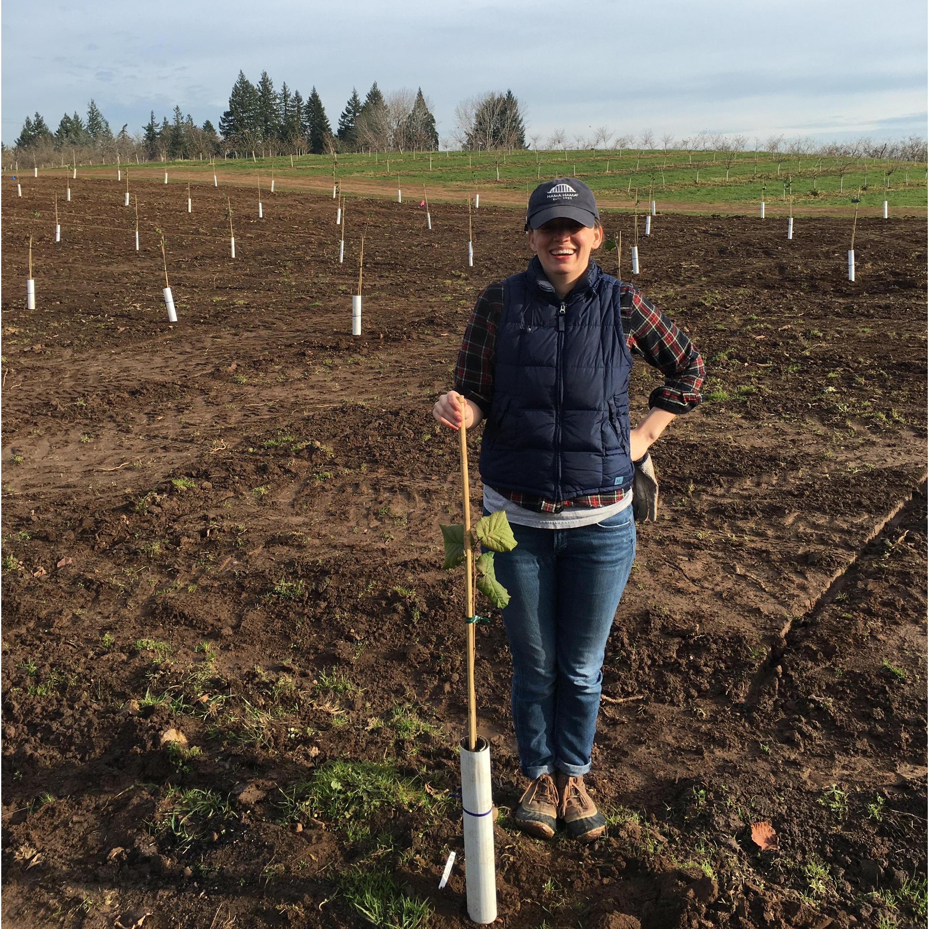 Allie planting a filbert 2019