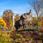 Saint Louis Zoo