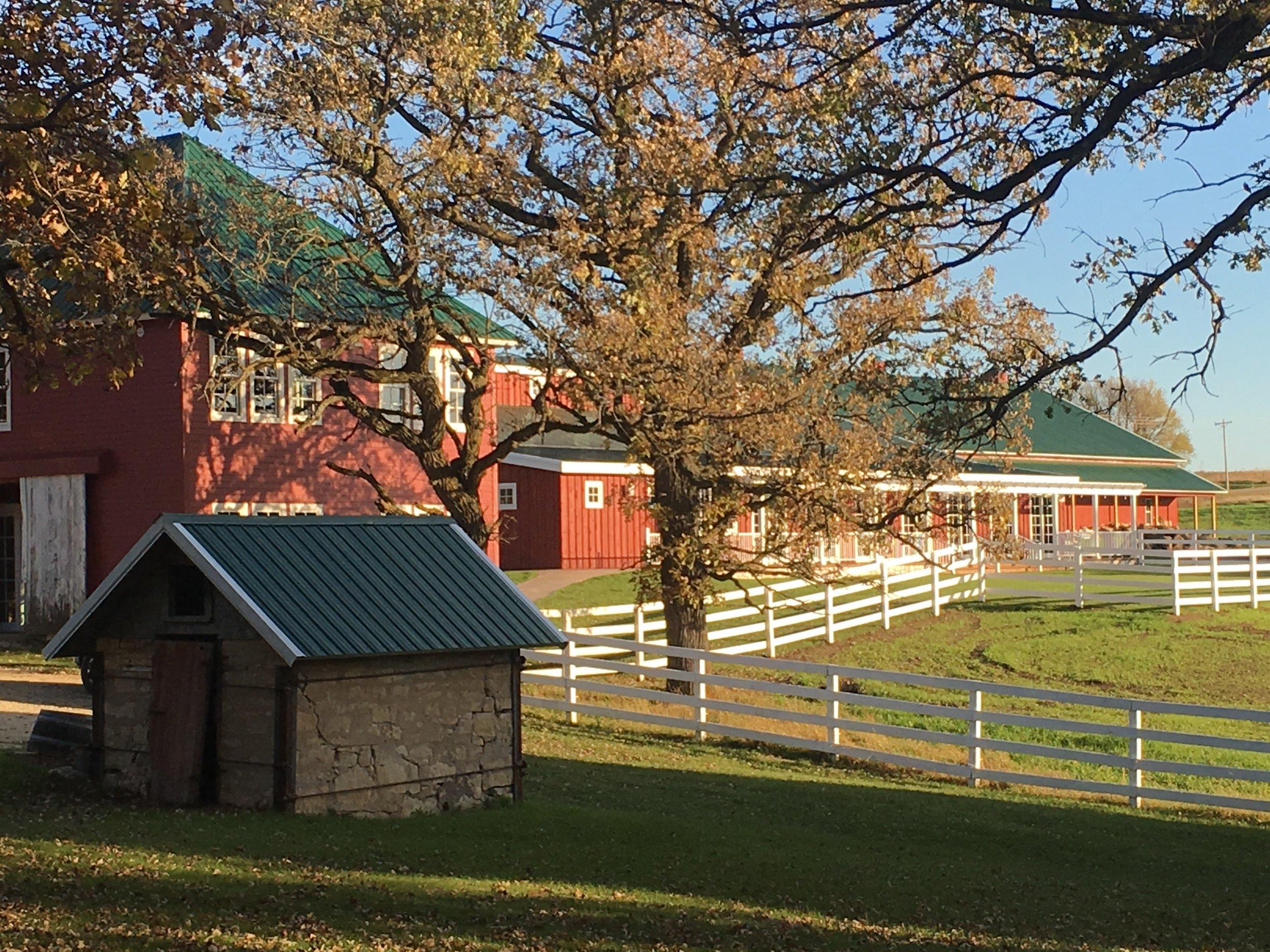 The Wedding Website of Erin Abraham and Anthony Harker