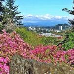 Hendricks Park