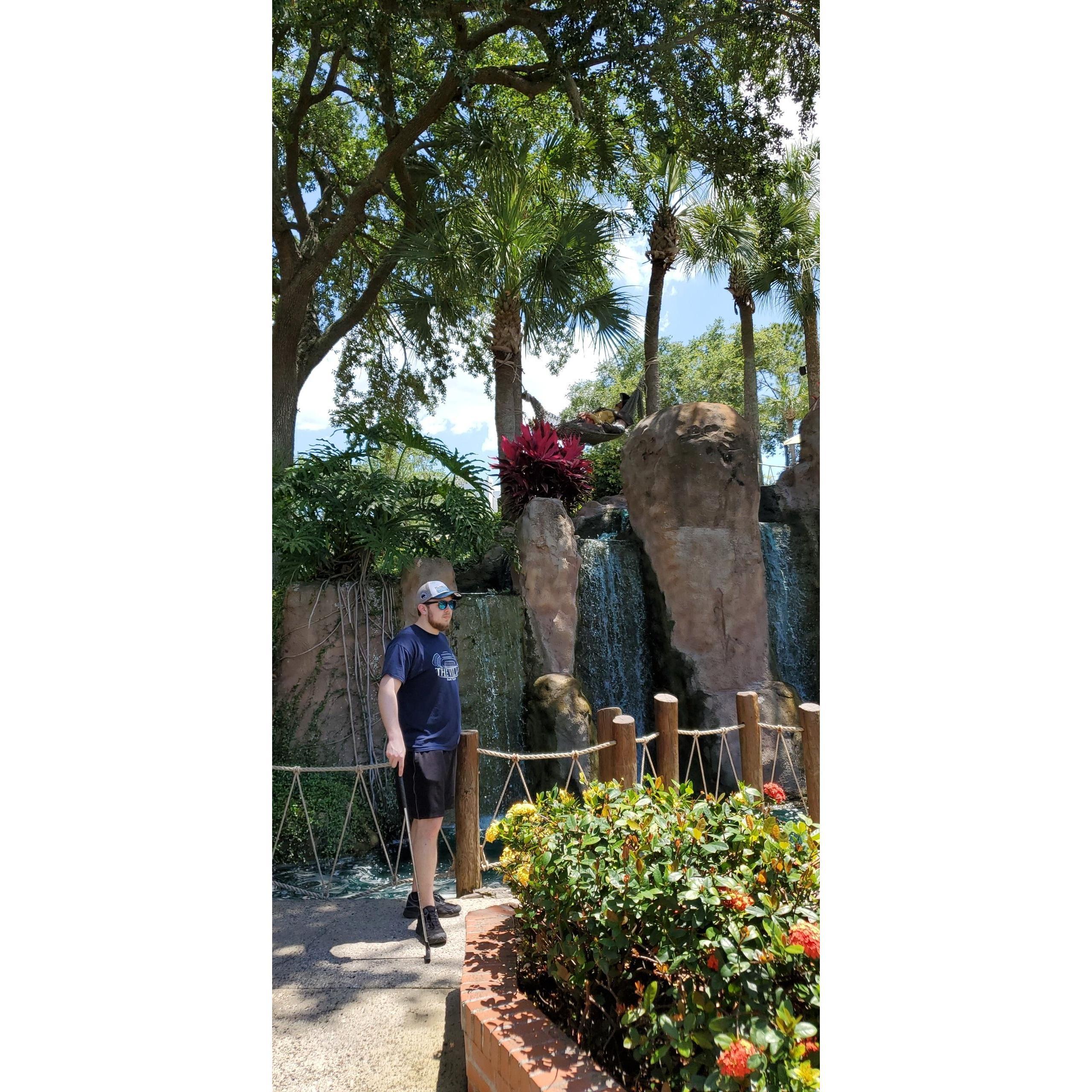 Mini golf champ