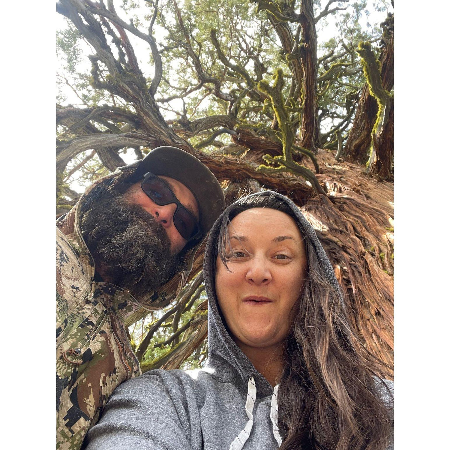 We get excited about big trees!