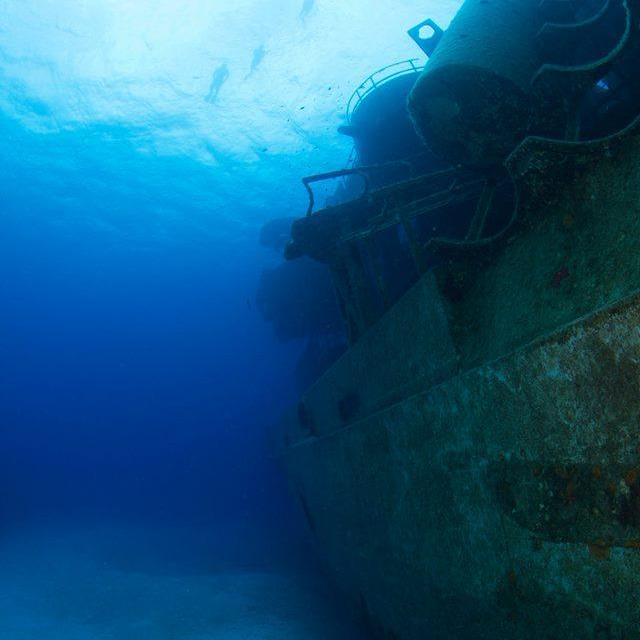 Beautiful dive....