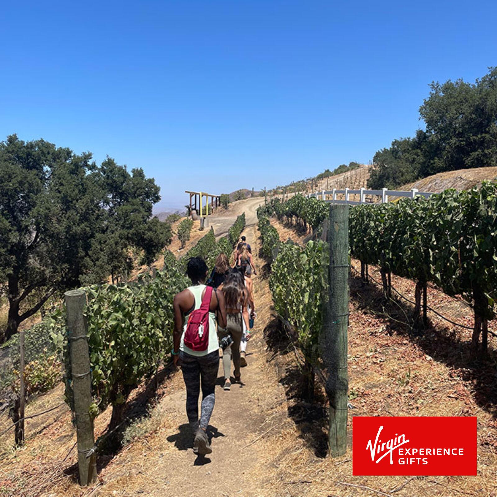 Virgin Experience Gifts, Scenic Vineyard Hike for Los Angeles