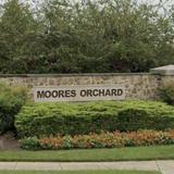 Moore's Orchard