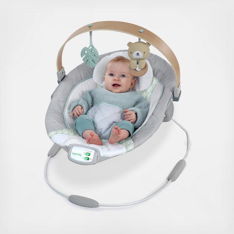 Cozy Spot Soothing Bouncer