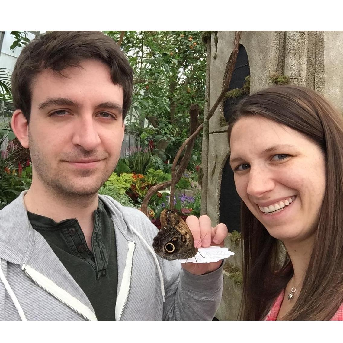 Enjoying the butterflies at Krohn Conservatory